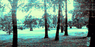 Fotografía con efecto glitch (líneas horizontales distorsionadas) en duotono cian y blanco: troncos de árboles en primer plano, parque de fondo.