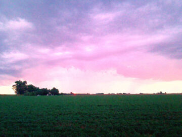 Fotografía de un campo verde con cielo rosado y nubes al atardecer, árboles y un resplandor rojo en el horizonte a la izquierda.